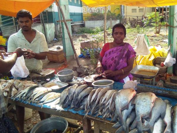 An image of a woman standing behind a stall with fish.