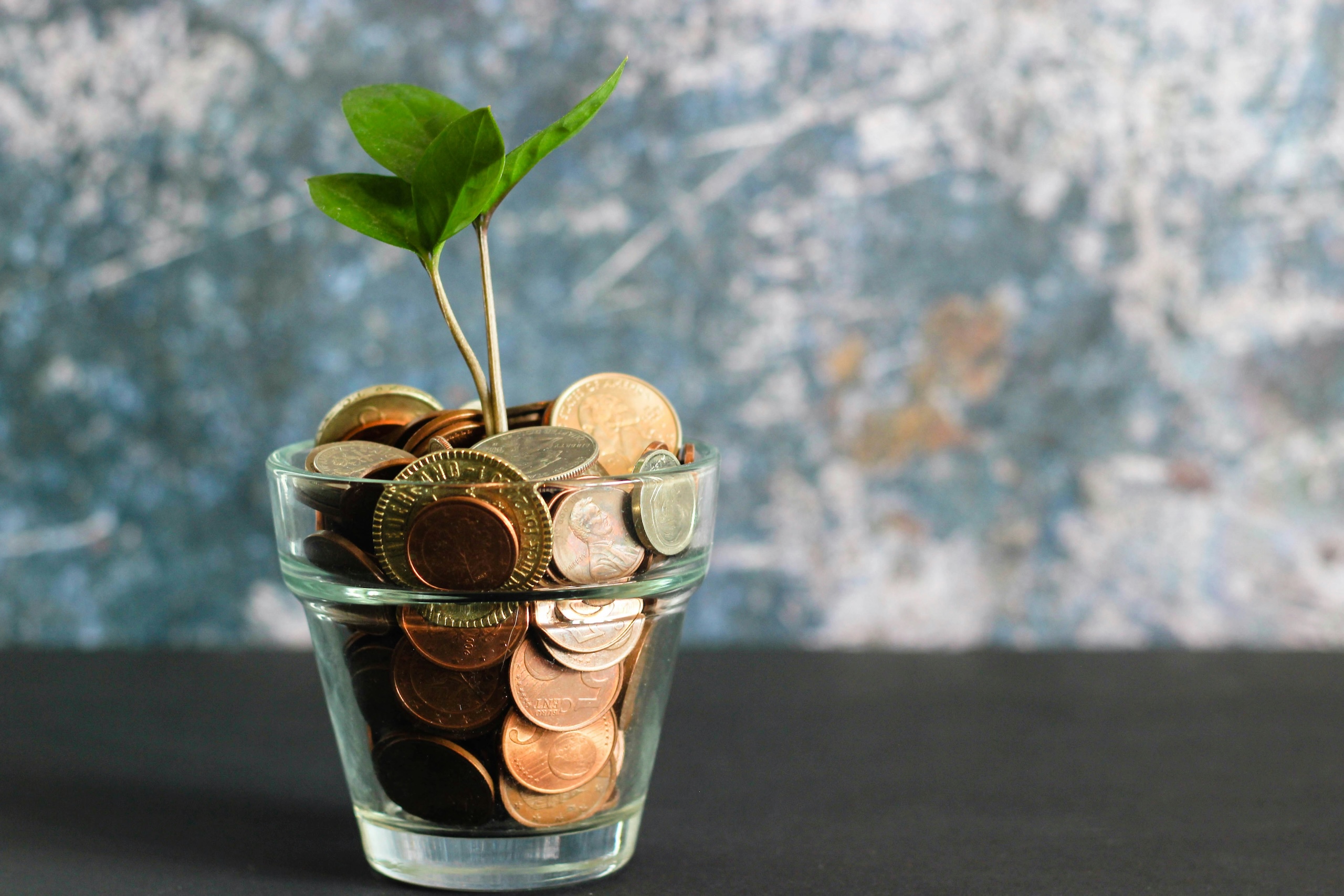 A small plant grows out of a glass cup filled with coins